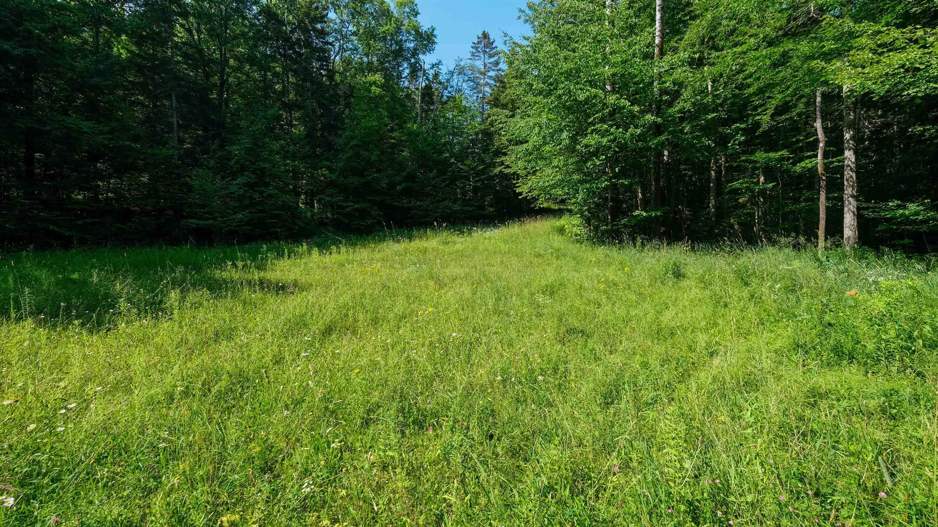 0 Berry Patch Lane Ludlow VT 05149