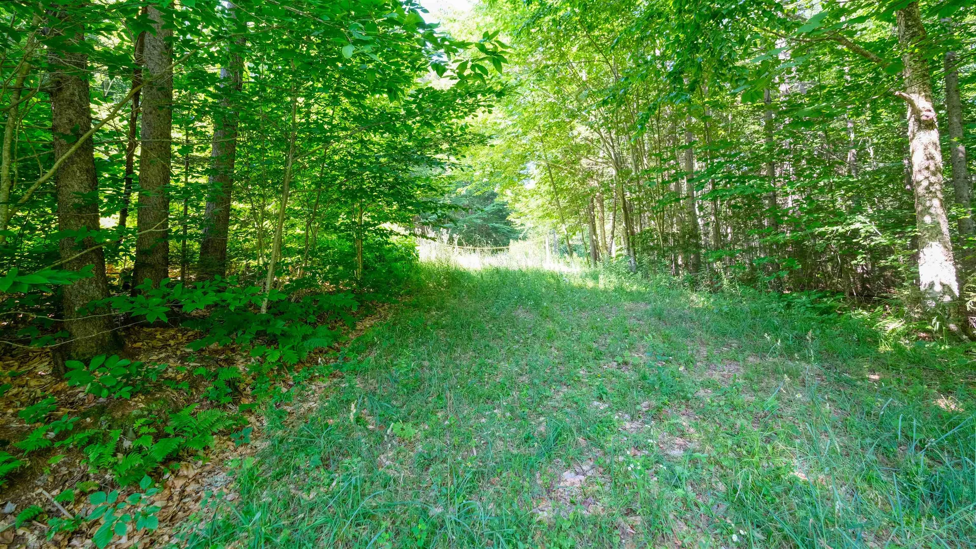0 Berry Patch Lane Ludlow VT 05149