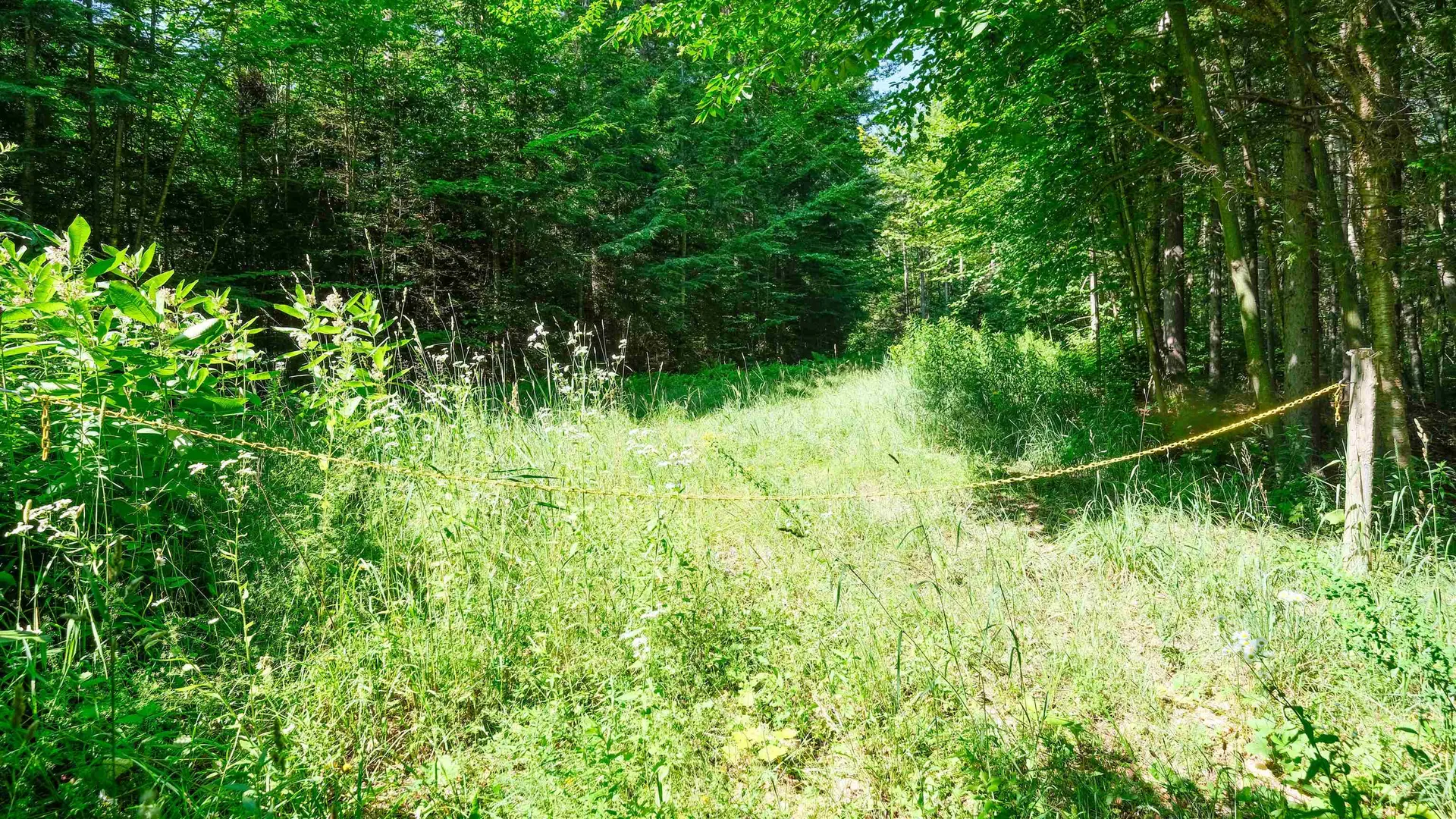 0 Berry Patch Lane Ludlow VT 05149
