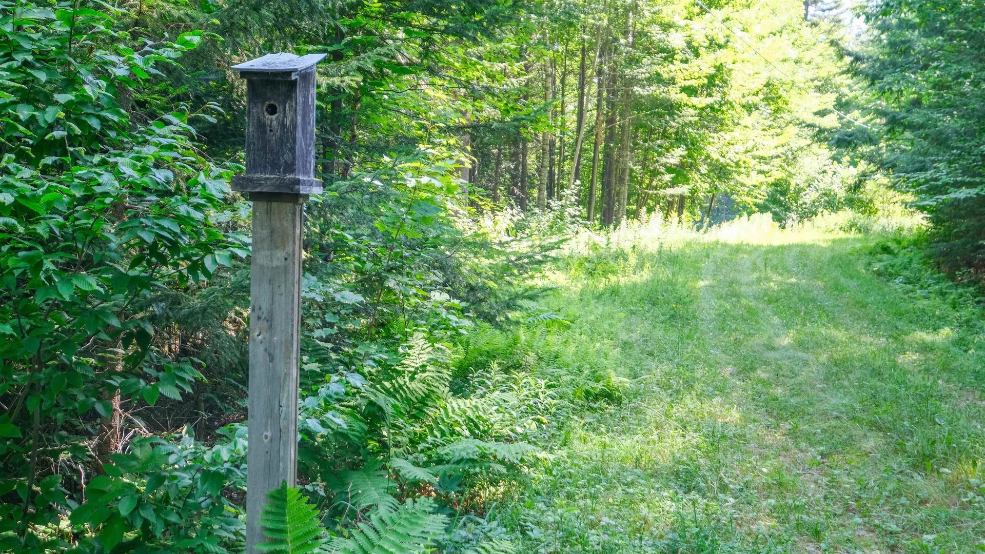 0 Berry Patch Lane Ludlow VT 05149