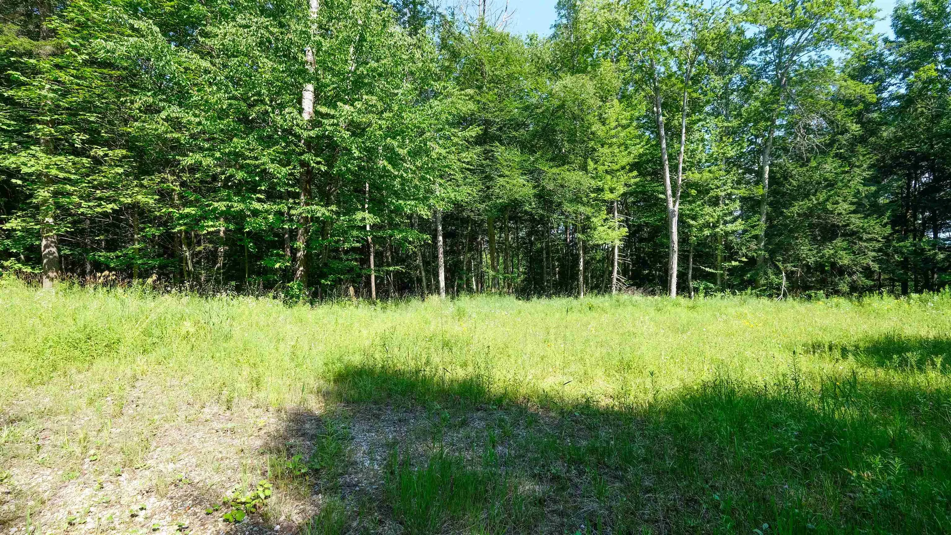 0 Berry Patch Lane Ludlow VT 05149