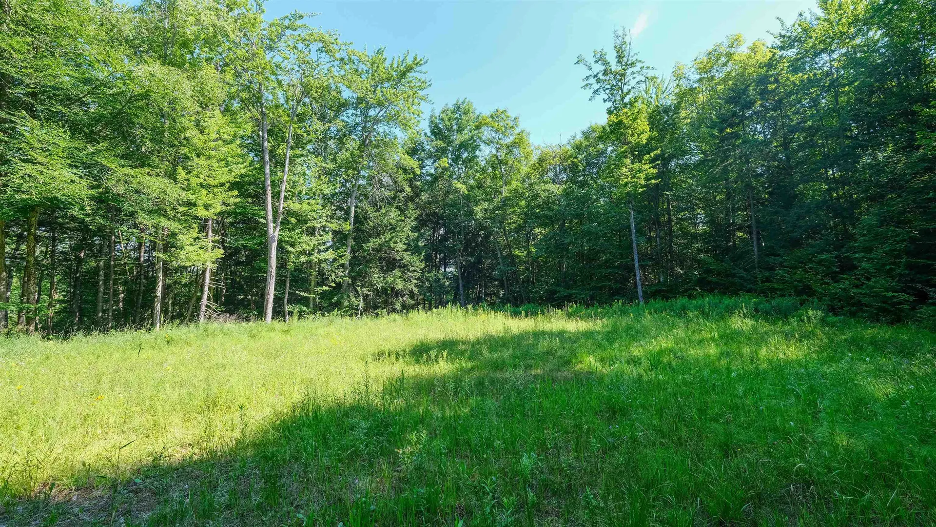 0 Berry Patch Lane Ludlow VT 05149