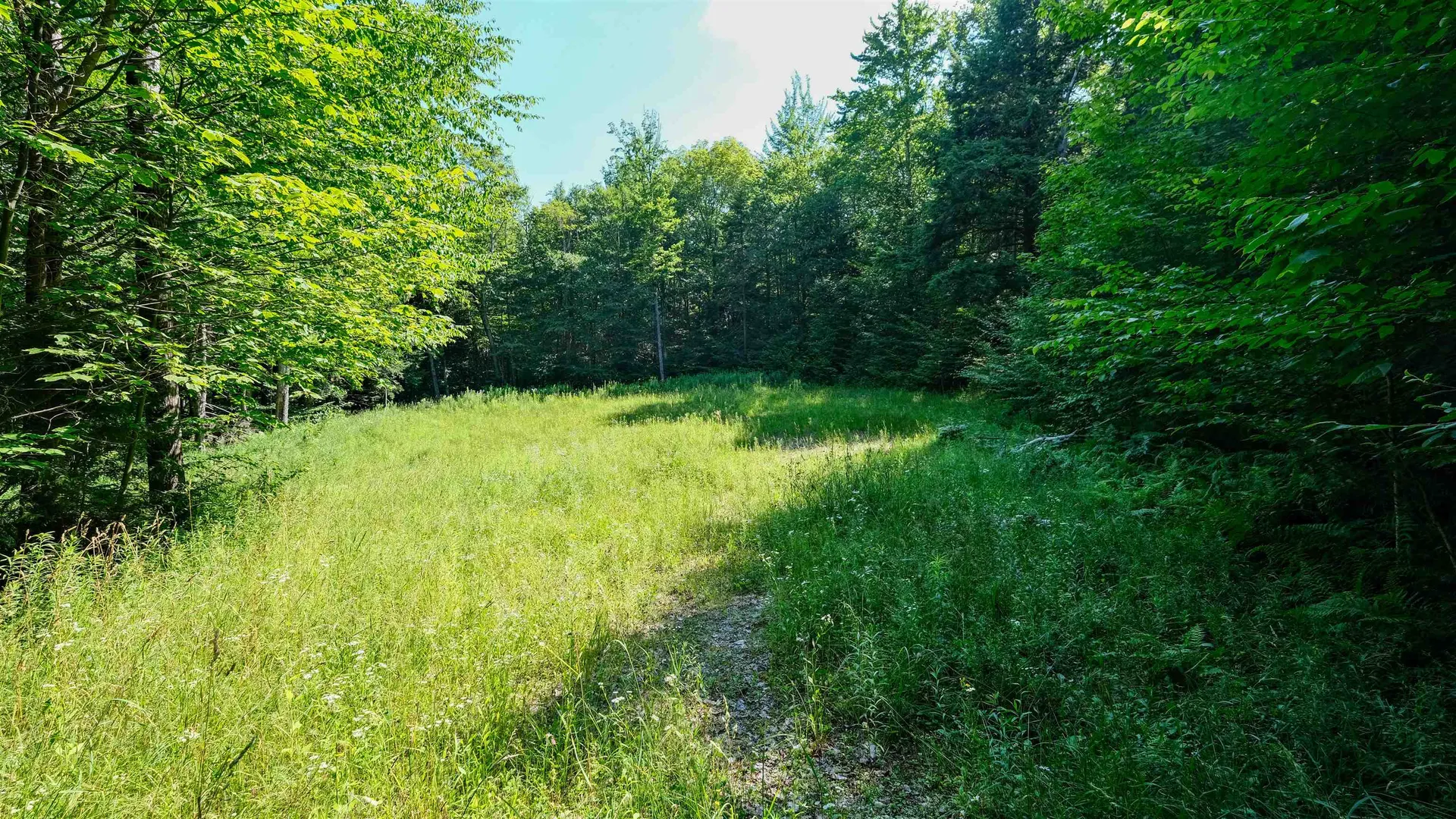 0 Berry Patch Lane Ludlow VT 05149
