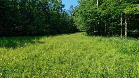 0 Berry Patch Lane Ludlow VT 05149