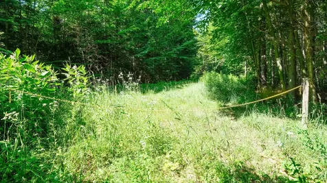 0 Berry Patch Lane Ludlow VT 05149