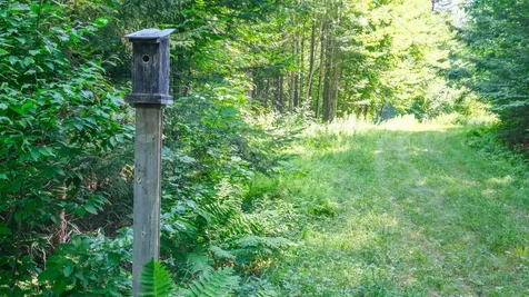 0 Berry Patch Lane Ludlow VT 05149