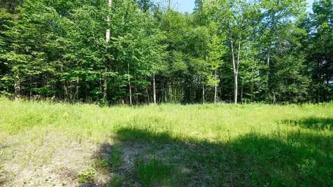 0 Berry Patch Lane Ludlow VT 05149