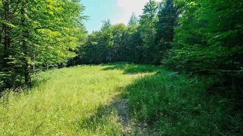 0 Berry Patch Lane Ludlow VT 05149