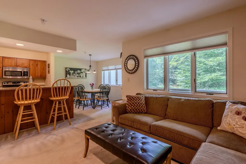 65 East Birch Road Stratton VT 05155