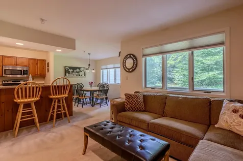 65 East Birch Road Stratton VT 05155