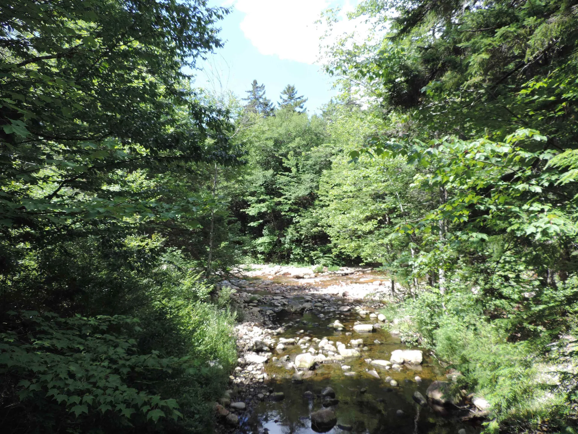 19 Mountain Brook Way Waterville Valley NH 03215