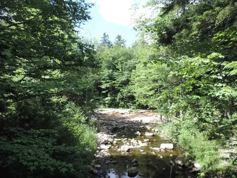 19 Mountain Brook Way Waterville Valley NH 03215