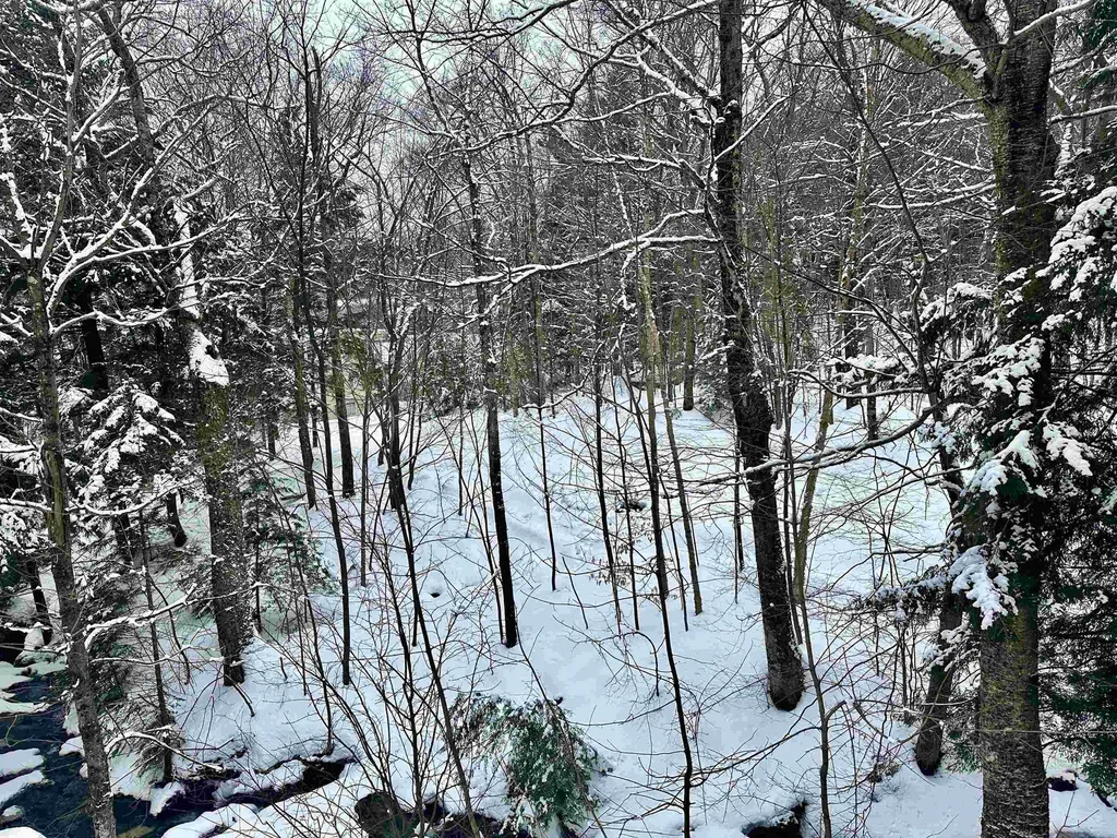 251 Mountainside Drive Warren VT 05674