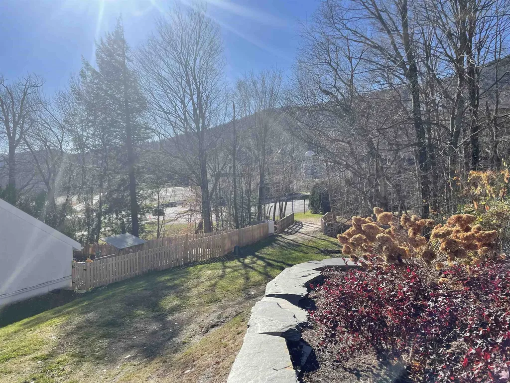 251 Mountainside Drive Warren VT 05674