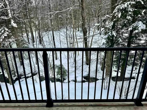 251 Mountainside Drive Warren VT 05674