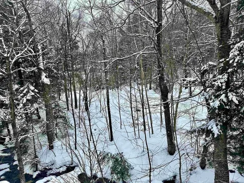 251 Mountainside Drive Warren VT 05674