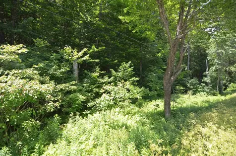 1336 Route 100 Plymouth VT 05056