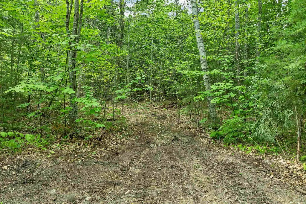 201 Teneriffe Road Milton NH 03851