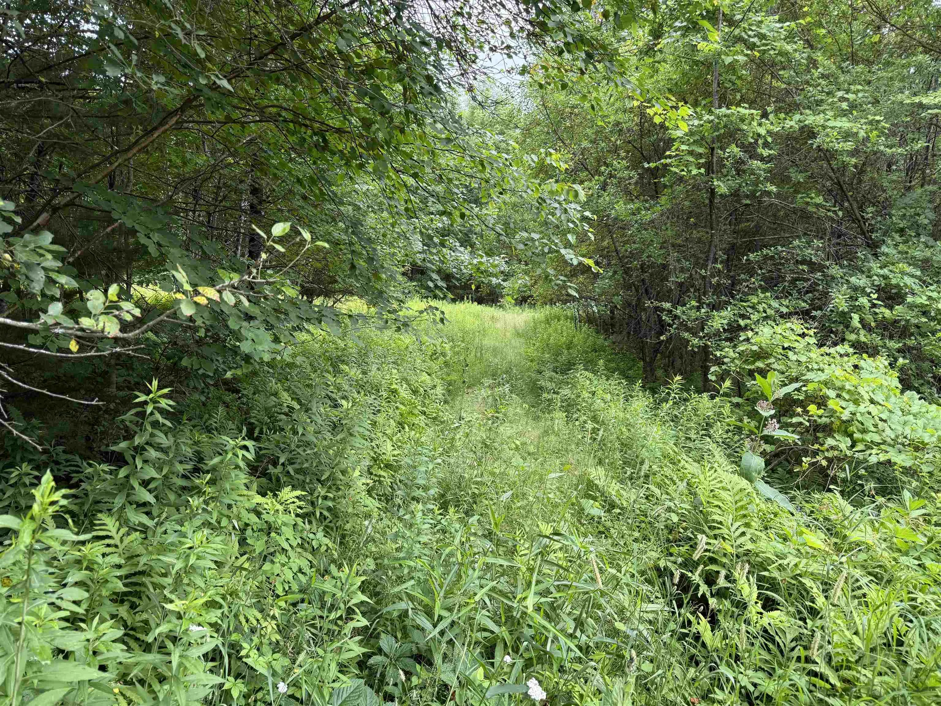 90 Stone Hill Ridge Rumney NH 03266