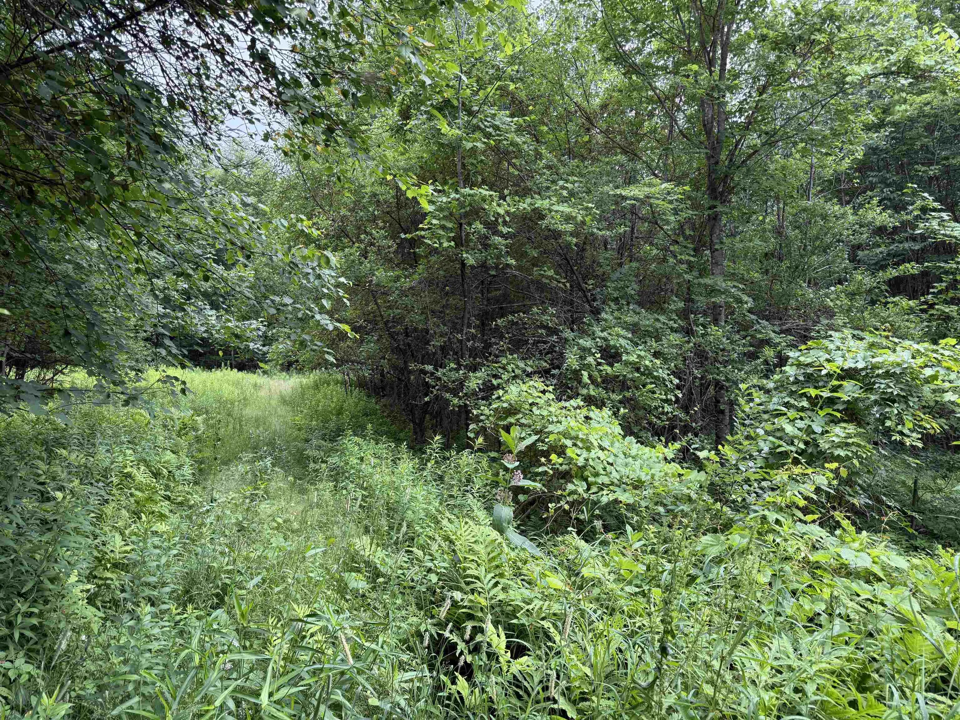 90 Stone Hill Ridge Rumney NH 03266