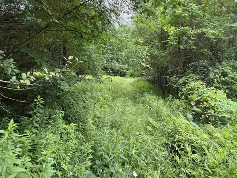 90 Stone Hill Ridge Rumney NH 03266