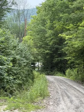 90 Stone Hill Ridge Rumney NH 03266