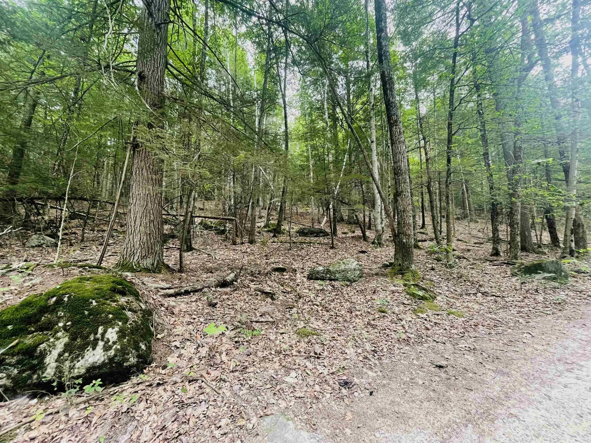 Lot 11 True Road Pittsfield NH 03263
