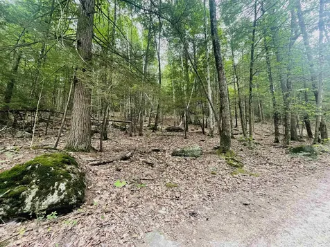 Lot 11 True Road Pittsfield NH 03263