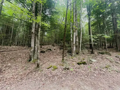 Lot 11 True Road Pittsfield NH 03263