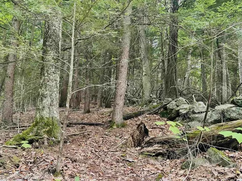 Lot 11 True Road Pittsfield NH 03263