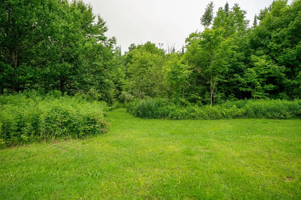 358 Eastern Avenue Walden VT 05873