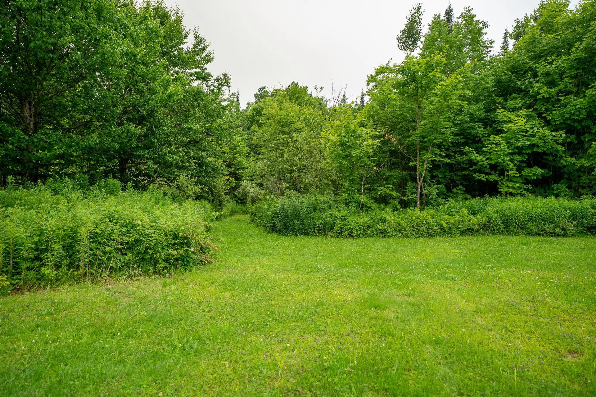 358 Eastern Avenue Walden VT 05873