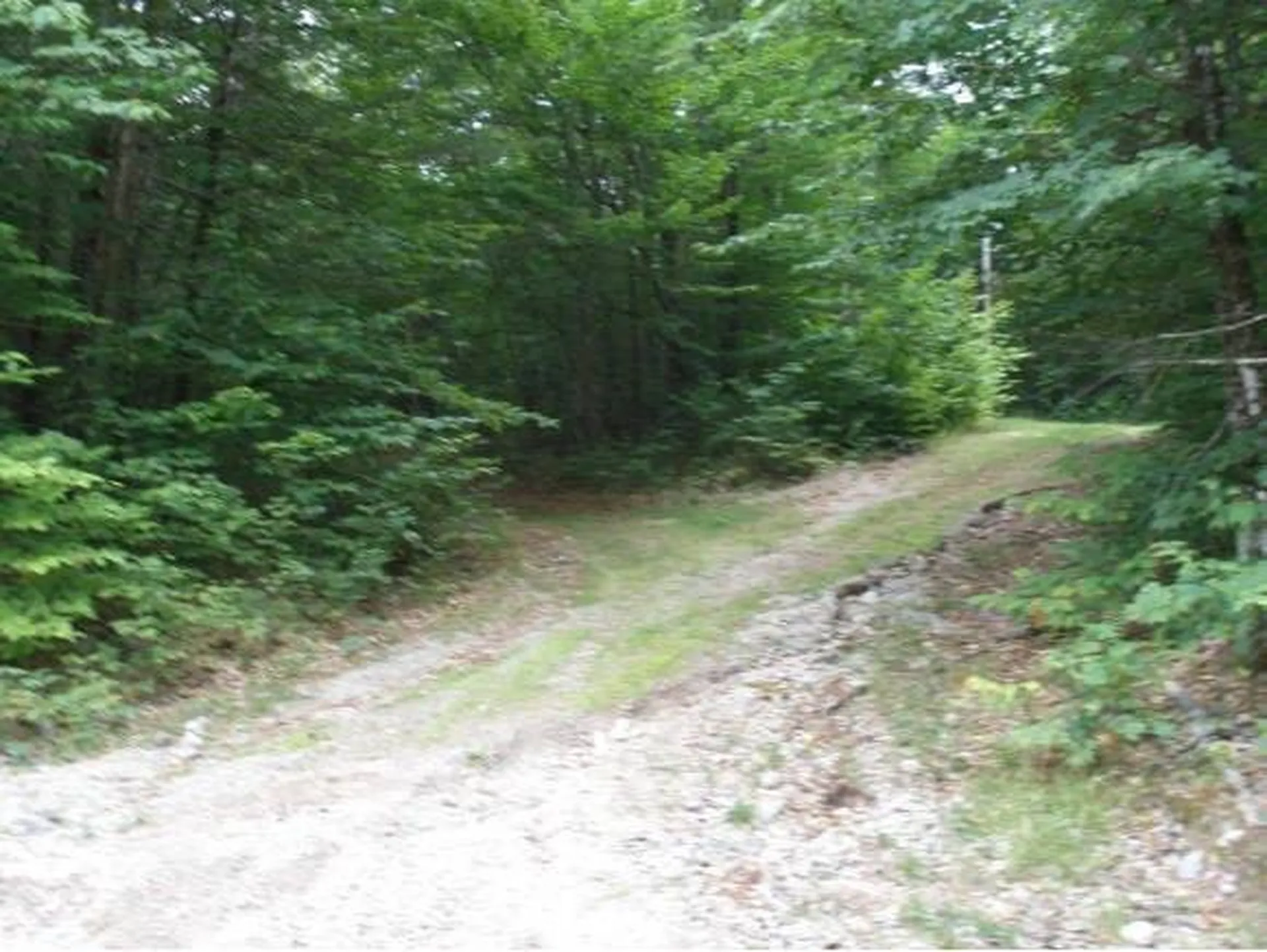 299 Ossipee Mountain Road Ossipee NH 03814