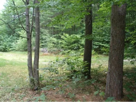 299 Ossipee Mountain Road Ossipee NH 03814