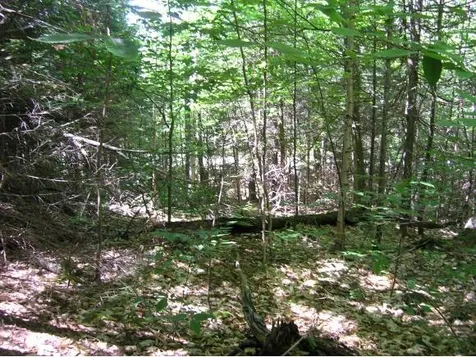 9 Snow's Mountain Road Waterville Valley NH 03215