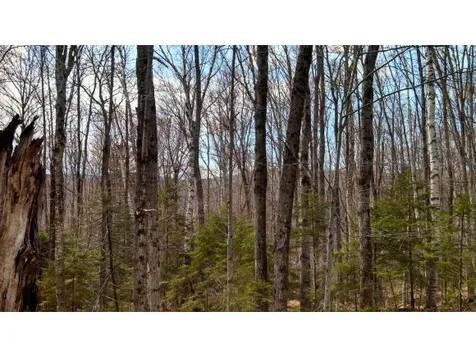 348 Erfreulichblick Circle Stamford VT 05352