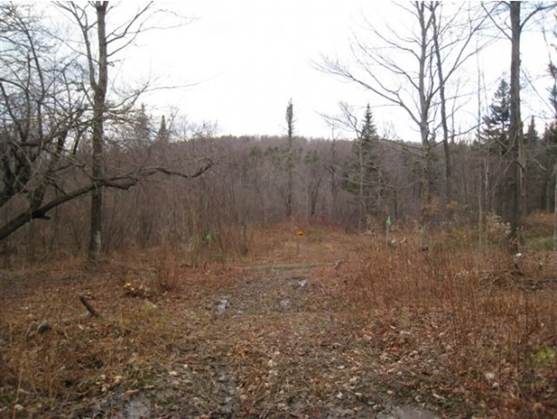 0 Sun & Ski Road Wilmington VT 05363