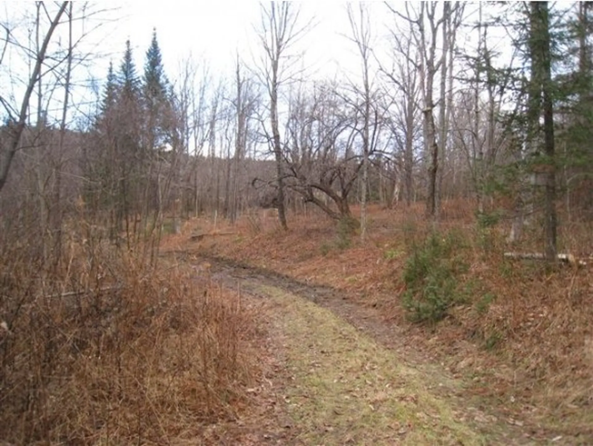 0 Sun & Ski Road Wilmington VT 05363