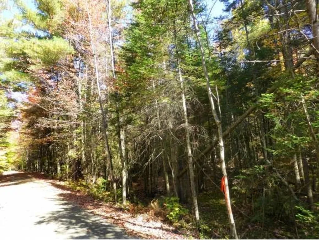 Lot 6 Woodland Drive Jay VT 05859