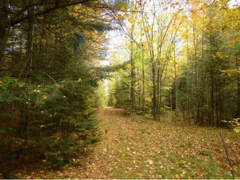 Lot 6 Woodland Drive Jay VT 05859