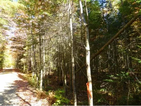 Lot 6 Woodland Drive Jay VT 05859