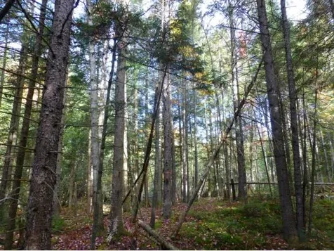 Lot 6 Woodland Drive Jay VT 05859
