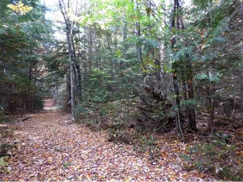 Lot 6 Woodland Drive Jay VT 05859