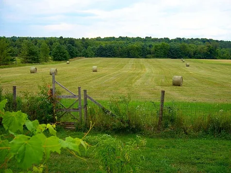 4003 Greenbush Road Charlotte VT 05445