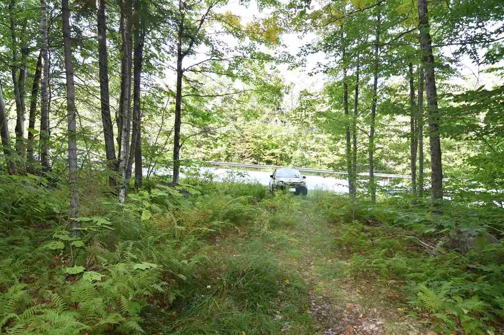 1605 Route 100 Ludlow VT 05149