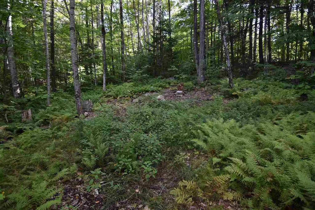 1605 Route 100 Ludlow VT 05149
