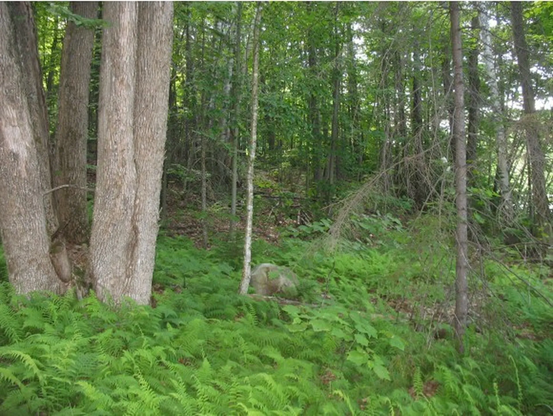 1605 Route 100 Ludlow VT 05149
