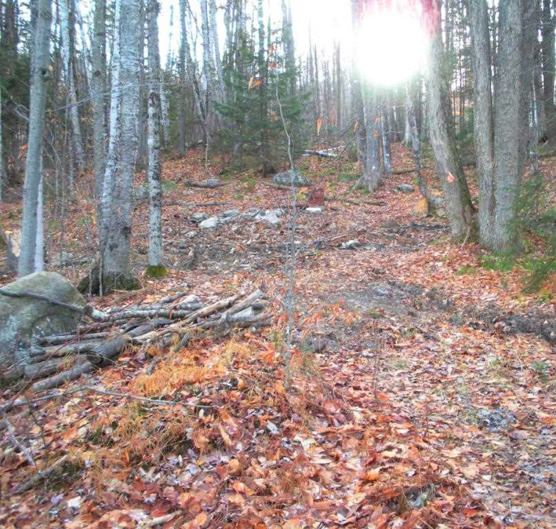 1605 Route 100 Ludlow VT 05149