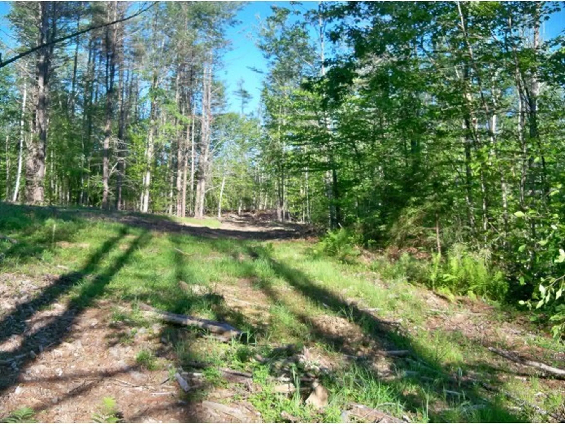 00 Center Harbor Neck Road Center Harbor NH 03226
