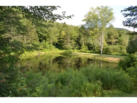 16 Estabrook Road Killington VT 05751